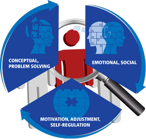 Psychometric Evaluation